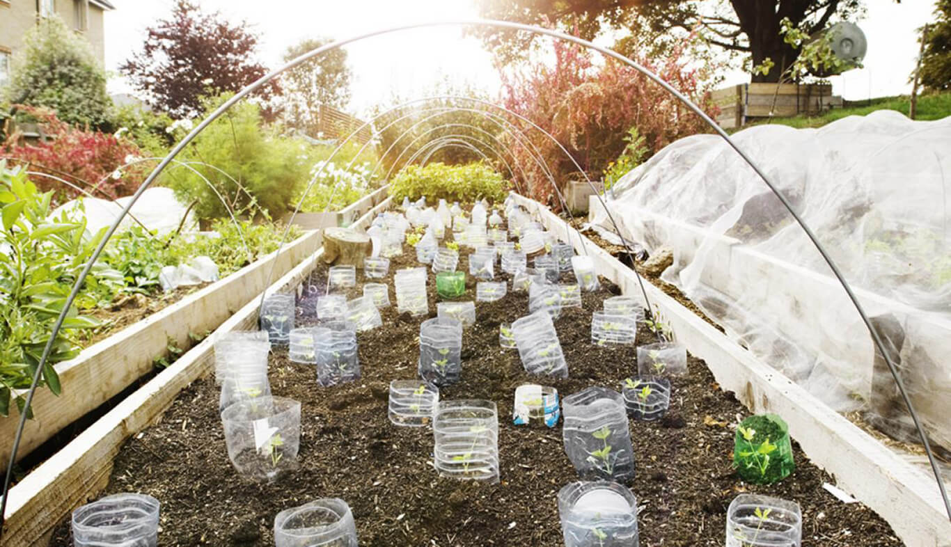 PERMACULTURE