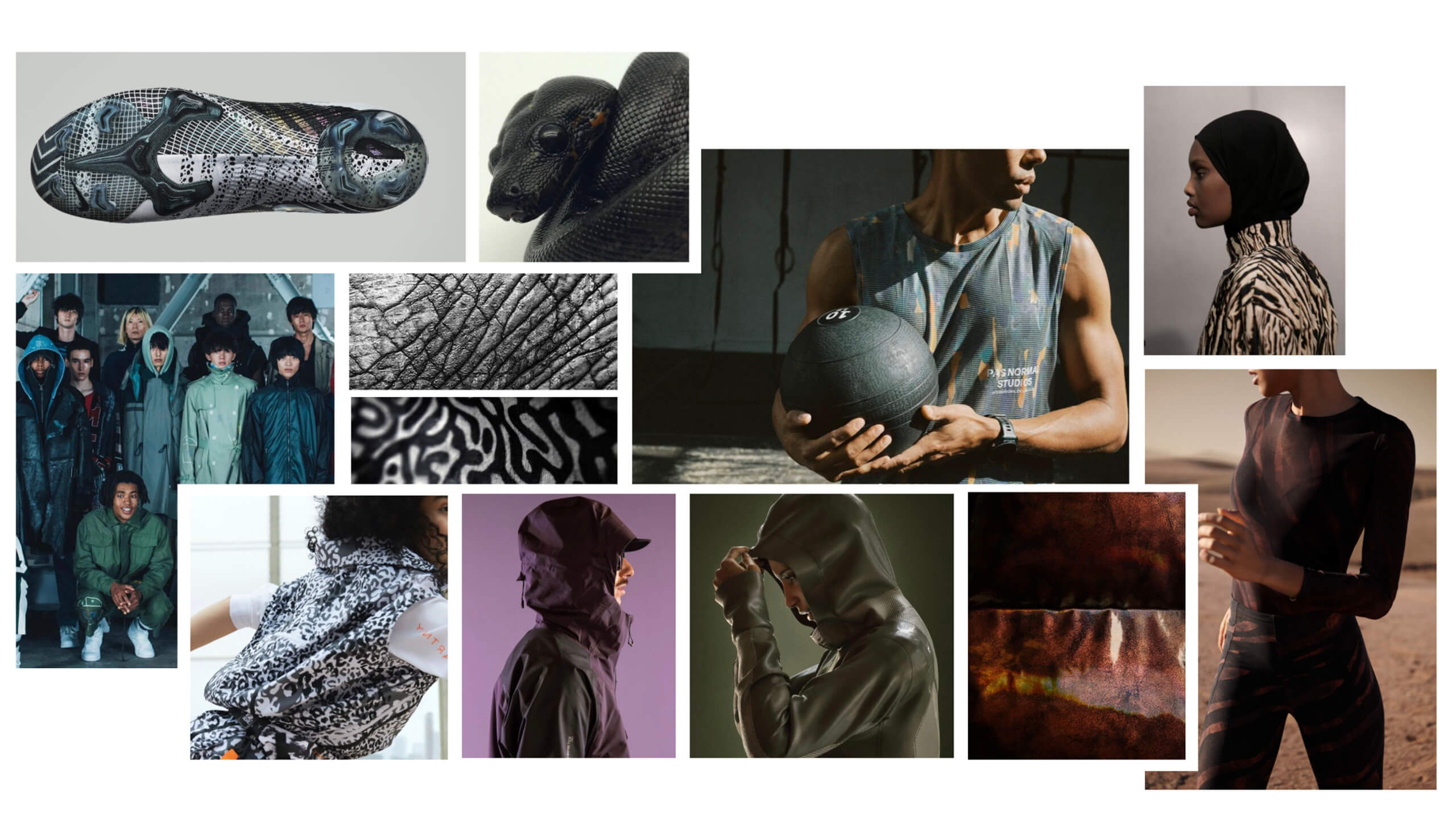 ANIMAL_MOODBOARD