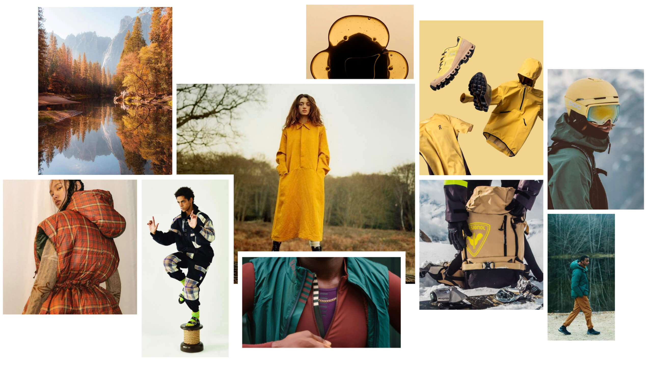 FOREST_MOODBOARD